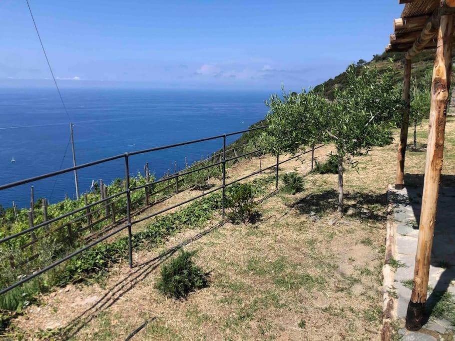 Orangehouse Cinque Terre. Private Parking Villa Рио Маджоре Екстериор снимка