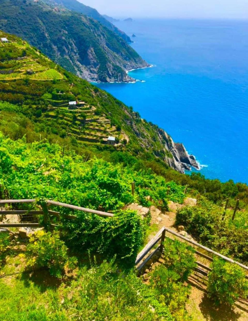 Orangehouse Cinque Terre. Private Parking Villa Рио Маджоре Екстериор снимка